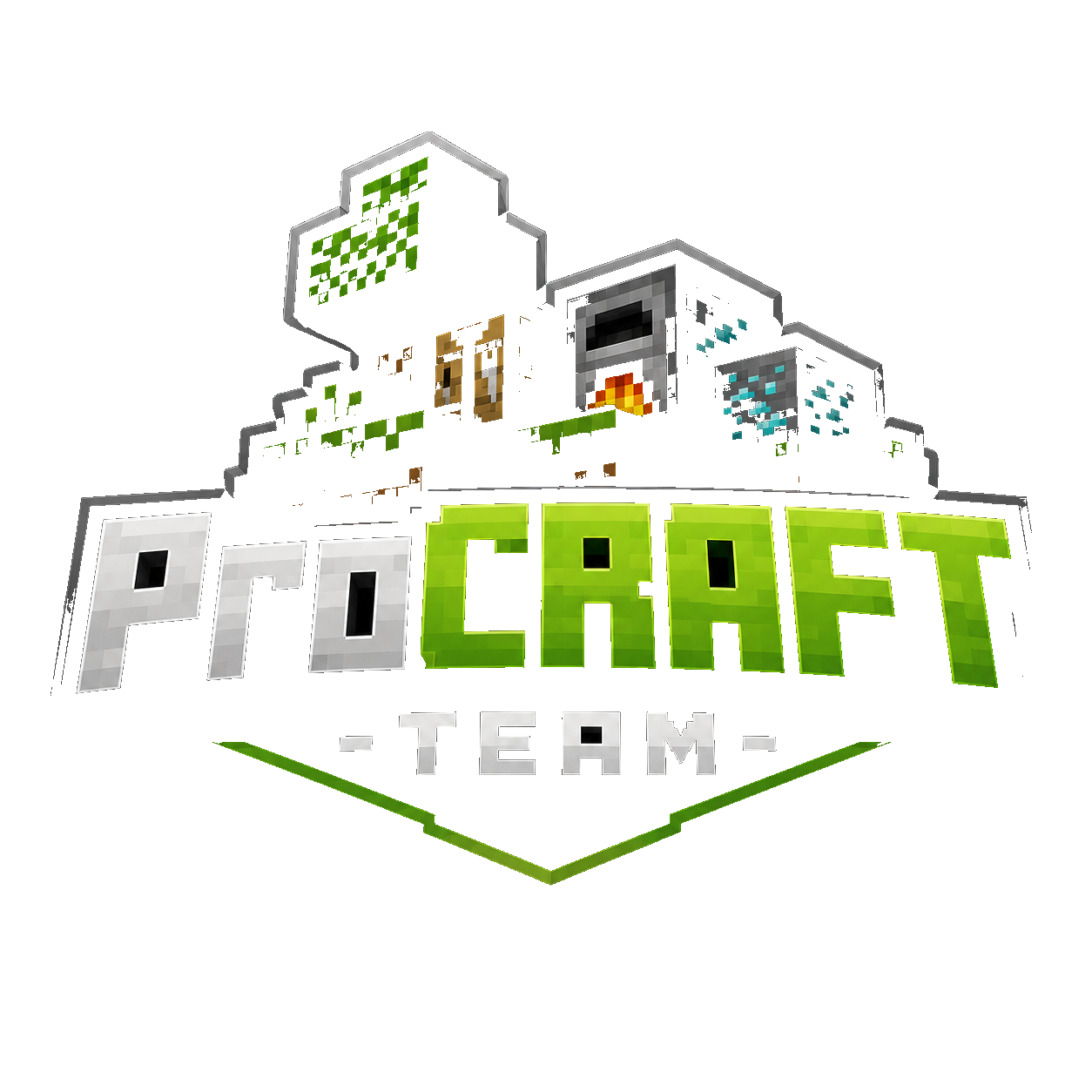 ProCraft Team Logo